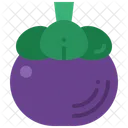 Mangosteen  Icon