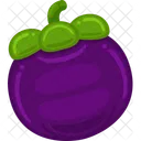 Mangosteen Vector Organic Icon