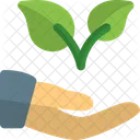 Mano Para Plantar Dos Mano Para Plantar Cuidado De Las Plantas Icono