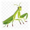 Praying Mantis Icons Cute Mantis Mantodea Icon