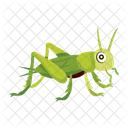 Praying Mantis Icons Cute Mantis Mantodea Icon