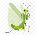 Praying Mantis Icons Cute Mantis Mantodea Icon