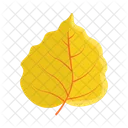 Maple Nature Leaf Icon