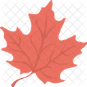 Maple Leaf Autumn Icon