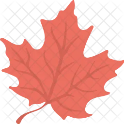 Maple Leaf  Icon