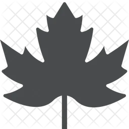 Maple Leaf  Icon