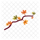 Maple Leaf Autumn Icon