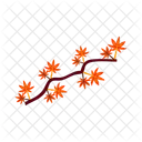 Maple Leaf Autumn Icon