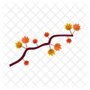 Maple Leaf Autumn Icon