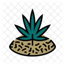 Marijuana  Icon