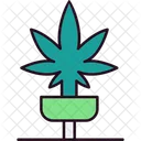 Marijuana  Icon