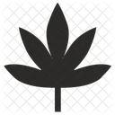 Canabis Marijuana Plant Icon