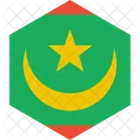 Mauritanie Drapeau Monde Icône