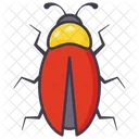 Maybug  Icon