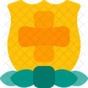 Medalha de escudo cruzado  Ícone