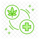 Medical Cannabis Marijuana Icon