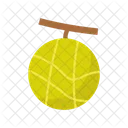 Melon  Icon