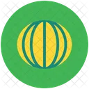 Melon Round Cantaloupe Icon