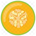 Melon Fleshy Pepo Icon