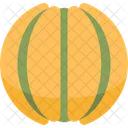 Melon  Icon