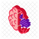 Brain Head Psychology Icon