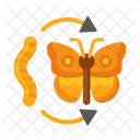 Metamorphosis  Icon