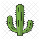 Mexican Giant Cactus  Icon