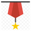 Military Badge  Icon