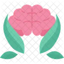 Mind  Icon