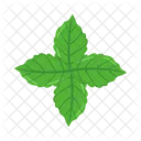 Organic Green Leaf Icon