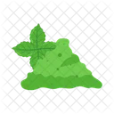 Organic Green Leaf Icon