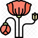 Mohnblume Mohnpflanze Mohn Symbol