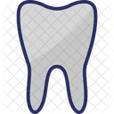 Molar Molar Teeth Tooth Icon