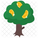 Money Plant  Icon