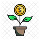 Money Plant  Icon