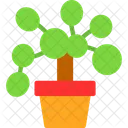 Money Tree Prosperity Plant Feng Shui Icon