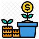 Money Tree Dollar Tree Profit Icon