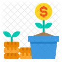 Money Tree Dollar Tree Profit Icon