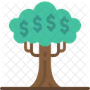 Money Tree Money Tree Icon