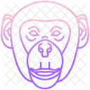 Monkey  Icon