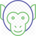 Baboon Macaque Monkey Icon