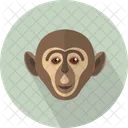 Monkey Head Haplorhine Icon