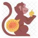 Monkey  Icon