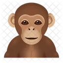 Monkey Animal Zoo Icon