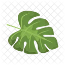 Monstera leaf  Icon