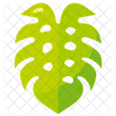 Monstera Leaf  Icon