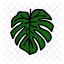 Monstera Leaf Monstera Plant アイコン