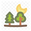 Woods Weather Nature Icon