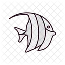 Moorish Idol Moorish Idol Symbol