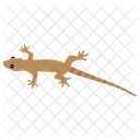 Lizard Mosasaurus Lizard Wild Animal Icon